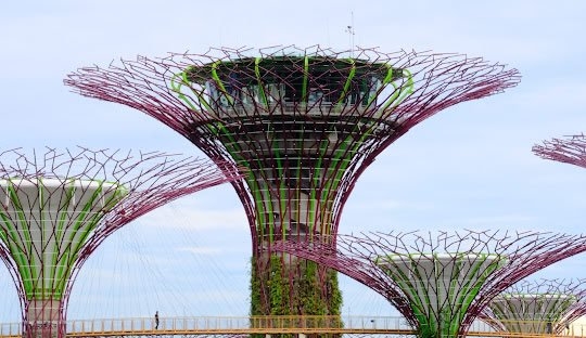 Singapore’s Digital Banks Report Strong Growth Amid Rising Competition