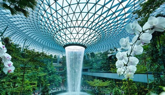 Digital Banks in Singapore 2025 What They Offer and How to Choose